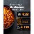 thumbnail image 3 of Suplemento Herb Pharm Mushroom Wellness Cordyceps Blend, 3 of 6