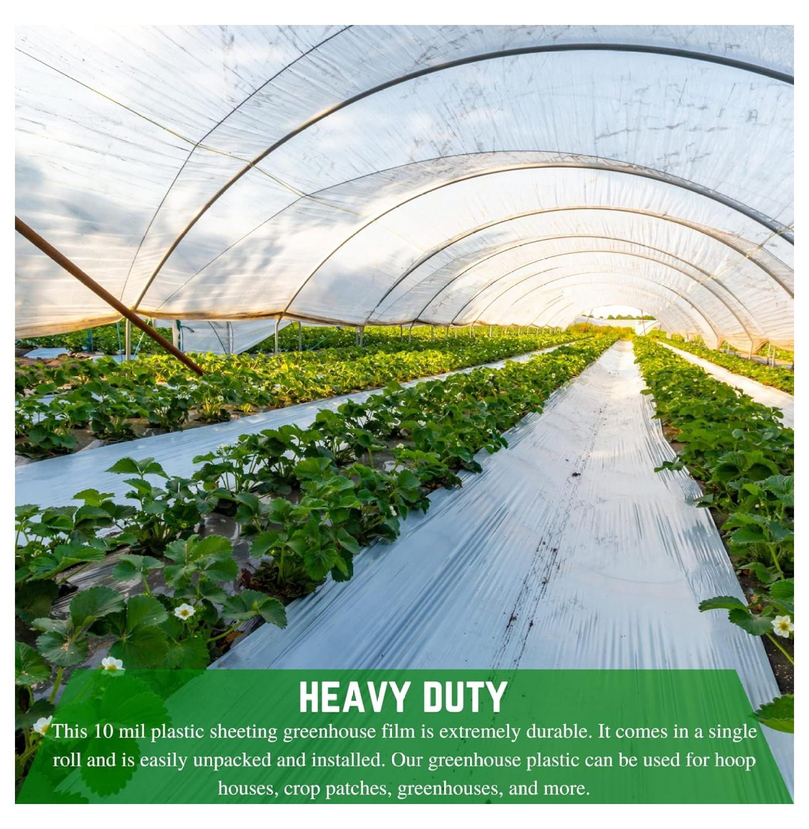 Greenhouse Plastic Sheeting 10 Mil - 6' x 25' String Reinforced UV Resistant Film for Hoop Houses, Clear Polyethylene Greenhouse Cover, Crop Protection