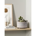 thumbnail image 2 of BEMAY 2-Pack Ceramic Succulent Pots with Drainage Holes, 6.3 in and 7.8 in Star White Indoor Planters with Mesh Pads and Silicone Plugs, Plant Pots for Cactus, Herbs and Houseplants, 2 of 6