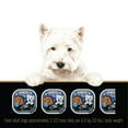 thumbnail image 3 of Cesar Home Delights Pot Roast with Spring Vegetables Dinner, Chicken & Vegetable Variety Pack Soft Wet Dog Food 12 Pack, 3 of 5