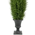 thumbnail image 5 of Northlight Real Touch™ Artificial Cedar Pine Arborvitae Tree in Urn Style Pot, Unlit - 5', 5 of 8