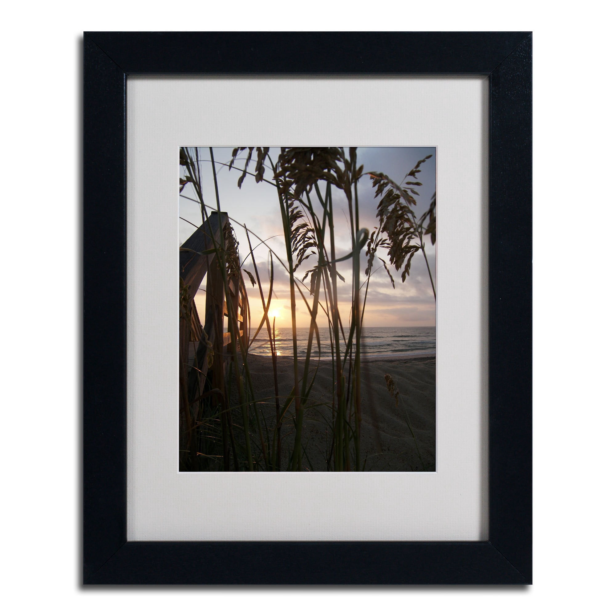 Trademark Fine Art "Hidden Life" Canvas Art by Monica Fleet, Black Frame