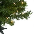 thumbnail image 3 of Northlight Pre-Lit Medium Royal Pine Artificial Christmas Tree - 2' - Clear Lights, 3 of 6