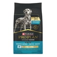 thumbnail image 1 of AdvantEDGE - Digestive Support Salmon & Oatmeal - Dry Dog Food, 1 of 5