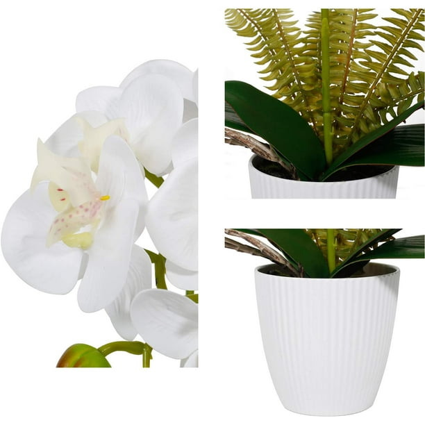IGUOHAO Orchidées Fleurs Artificielles Orchidée Phalaenopsis Rose Plante  avec Pot en Céramique Décorations d'Orchidées Artificielles Fleurs  Artificielles Arrangements Artificiels Fleur ou Maison Orchidée Décor  Cuisine Fête 