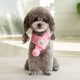 thumbnail image 5 of Bufanda para mascotas, accesorios para cachorros, ropa a juego para mascotas, suministros para mascotas, bufanda de lana para cachorros, bufanda para gatos al por mayor, 5 of 6