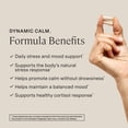 thumbnail image 2 of Stonehenge Health Dynamic Calm - 600mg KSM-66 Ashwagandha with L-theanine, Rhodiola Rosea, Holy Basil, and Magnesium Glycinate, Daily Stress and Mood Support, Non-GMO, 60 Vegetarian Capsules, 2 of 7
