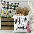 thumbnail image 5 of Easter Pillow Covers 16x16 Set of 4, Gnome Eggs Throw Pillow Covers Pillowcase Black and White Buffalo Plaid Decorations Cushion Case for Home Outdoor Yard, 5 of 5