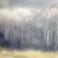 thumbnail image 3 of Kimberly, Allen 12x12 Black Modern Framed Museum Art Print Titled - Silver Forest, 3 of 5