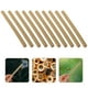 thumbnail image 5 of 20 tubos de bambú para nido de abejas. Tubos para casas de abejas. Tubo de bambú para nido de abejas albañiles., 5 of 8