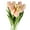 Champagne, variant on Sunjoy Tech 10 Pcs Tulips Artificial Flowers Faux Tulip Stems for Easter Spring Wreath Wedding Bouquet Centerpiece Floral Arrangement Cemetery Table Décor 14" Tall