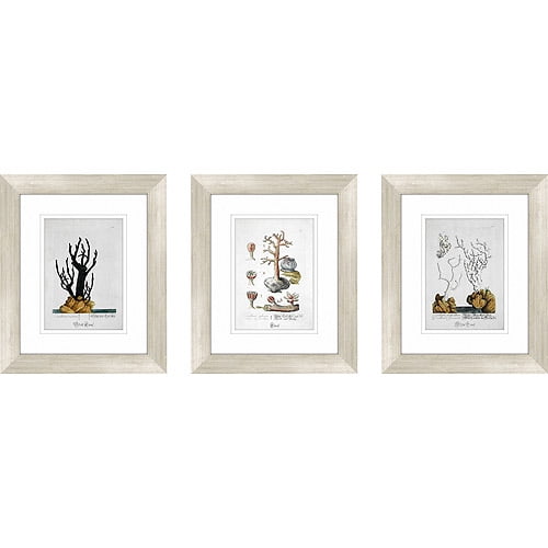 Sea Life Framed Art, Set of 3