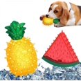 thumbnail image 1 of 2pcs Frozen Pet Toy, Tpr Dog Frozen Fruit Toy, Pet Chew Toys, Bite Resistant Dog Toy For Dog Puppy, Colorful, 1 of 5