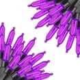 thumbnail image 4 of Cadena de luces de hadas navideñas ACTIVE Biensenido a ACTIVE azul, 4 of 5