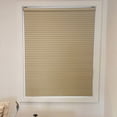 thumbnail image 5 of Chicology Estrada Cordless Cellular Blackout Shade, 5 of 5