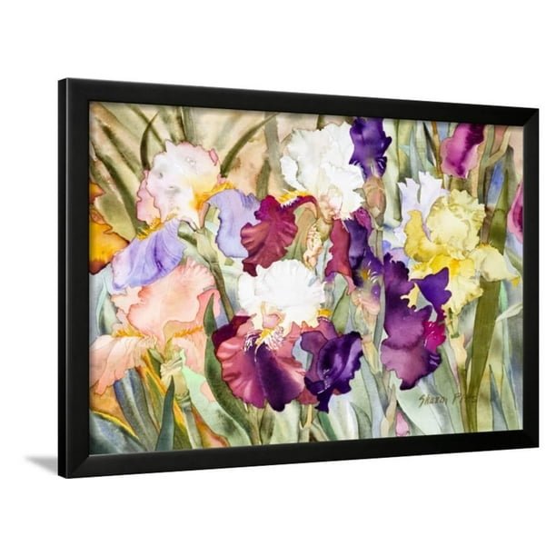Iris Garden I Framed Print Wall Art By Sharon Pitts Walmart Com Walmart Com