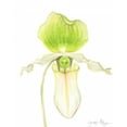 thumbnail image 2 of Goldberger, Jennifer 15x18 Gold Ornate Wood Framed with Double Matting Museum Art Print Titled - Orchid Beauty IV, 2 of 4