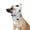 White Cow, variant on Harikaji Quiet Ears for Dogs Hat, Dog Ear Muffs Noise Protection, Plush Dog Hats Pet Ears Warm Dog Ear Cover, Winter Hat Dog Head Wrap for Small Medium Large Dogs Grey Bear L