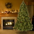 thumbnail image 3 of National Tree Company Pre-lit Feel Real® Artificial Christmas Tree, Green, Downswept Douglas® Fir , Clear Lights, Includes Stand, 7 Feet, 3 of 5