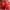 Red, variant on Awdenio Men's Athletic Beach Shorts Mesh Solid Color Summer Beach Lightweight Drawstring Quick Dry Shorts