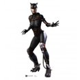 thumbnail image 1 of Catwoman - Injustice Game Cardboard Cutout, 1 of 1