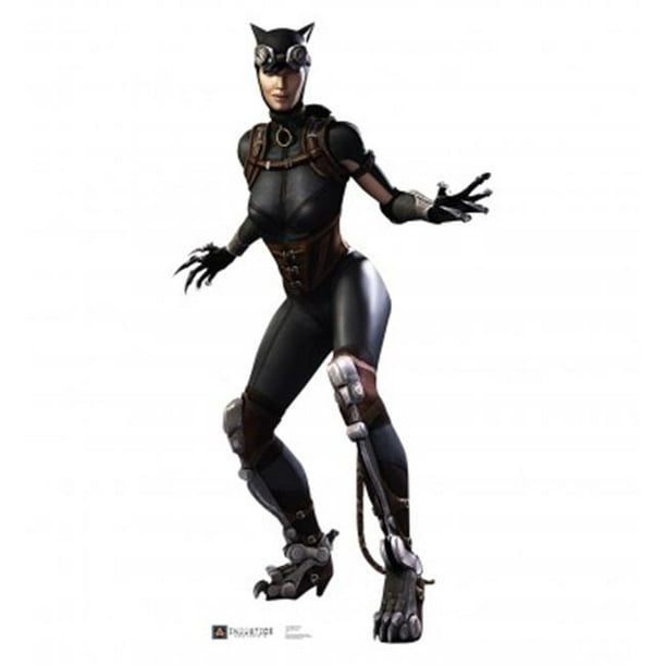 Catwoman - Jeu d'Injustice Découpé en Carton