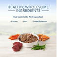 thumbnail image 3 of Blue Buffalo Homestyle Recipe Natural Adult Wet Dog Food, Lamb 12.5 oz. - 1 Can, 3 of 7