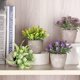 thumbnail image 3 of 6 Piezas de Plantas Artificiales Mini Macetas, Planta de Plástico, Flor Verde en Maceta, Decoración de Mesa, Escritorio de Computadora, 3 of 4