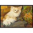 thumbnail image 1 of Carolines Treasures MH1053MAT Chihuahua Tapis Intérieur & Extérieur - 18 x 27 Po., 1 of 4