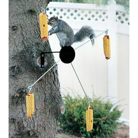 Upc 073928038615 Homestead Cobs A Twirl Hunter Green Bird