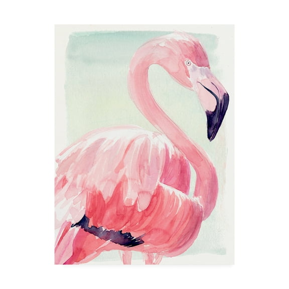 Trademark Fine Art 'Pastel Flamingo II' Canvas Art by Jennifer Paxton Parker