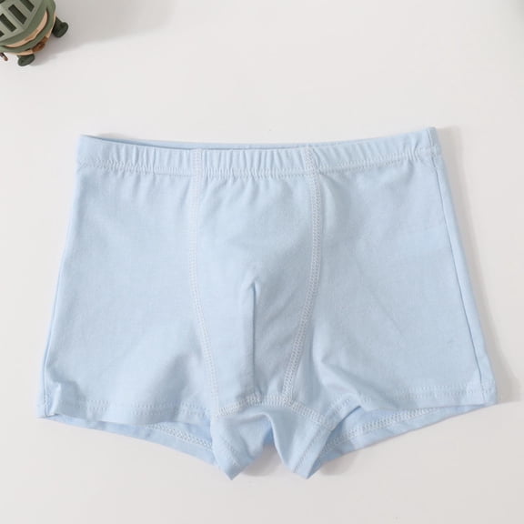 Boys Boxer Briefs 1-8 Years | Kids & Kids Cotton Underwear | Soft Breathable Blue Briefs Single Pair,Size 5-6 T