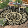 thumbnail image 2 of Aonewoe Round Outdoor Rugs 5Ft Waterproof Patio Plastic Straw Rug Reversible Camping Carpet Indoor Outdoor Area Rug for Patio,Deck,Balcony,Picnic,Beach,Outside, 2 of 8
