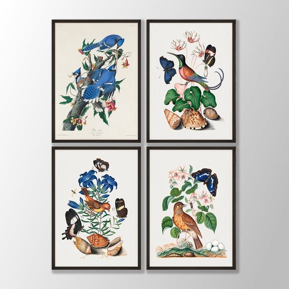 UNFFRAMED Vintage Bird Prints Set, Audubon Style Wall Art Set 4 Prints 8x12
