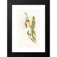 thumbnail image 2 of John Gould 13x18 Black Modern Framed Museum Art Print Titled - Calothorax Heliodori, 2 of 5