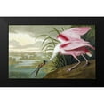 thumbnail image 2 of Audubon, John James 18x13 Black Modern Framed Museum Art Print Titled - Roseate Spoonbill, 2 of 5