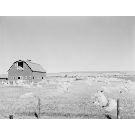 Usa Washington Ellensburg Red Barn And Oat Field Poster Print