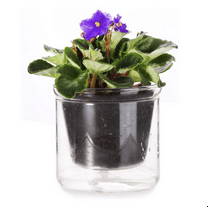 4 Inch Self Watering Pot,African Violet Pot,Bottom Watering Glass Planter for Indoor Plants and Progagation,1 * Self Watering Pot,Transparent