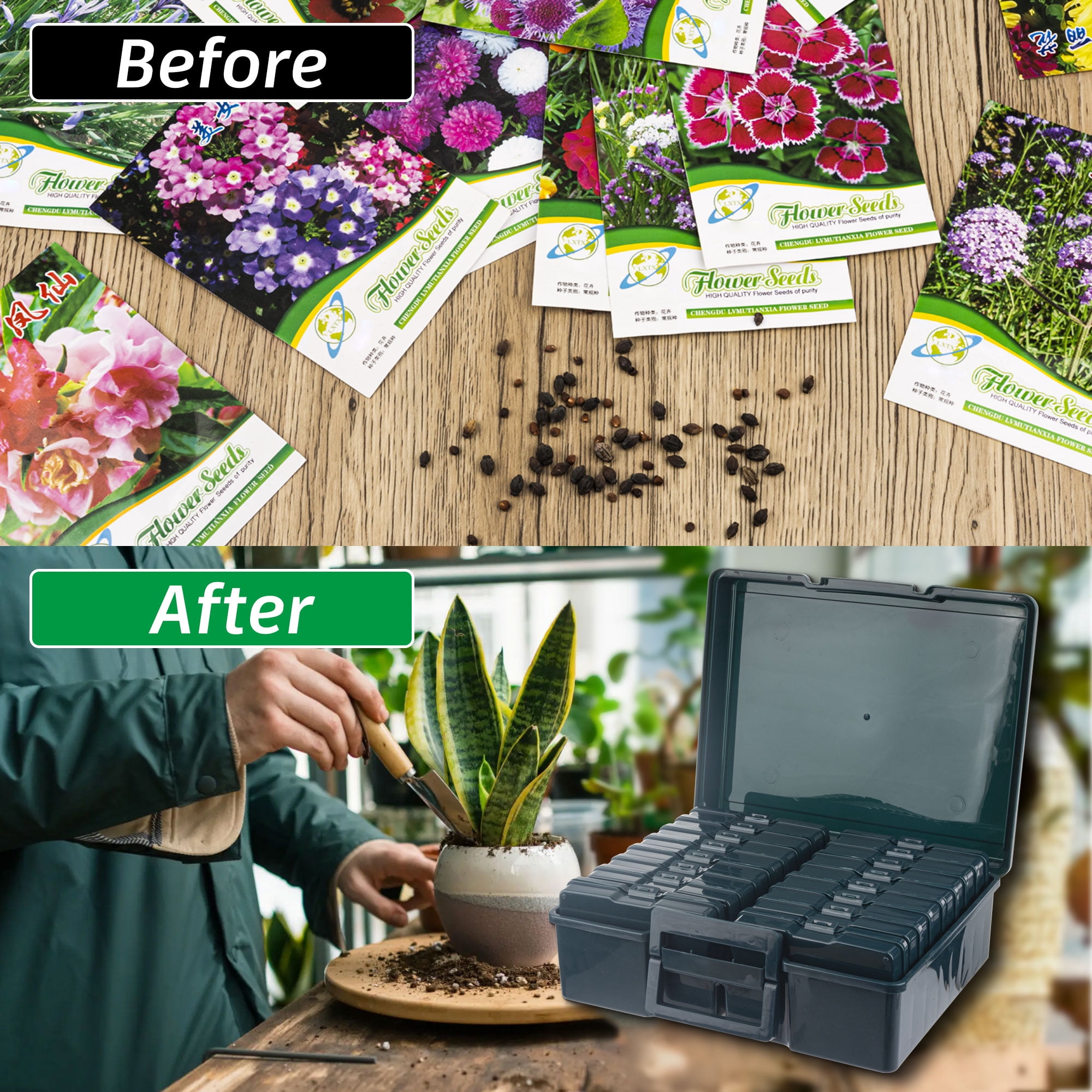 WRVCSS  Dark Green Seed Storage Box With 16 pcs 4" x 6" cases,Seed Organizer,Photo Storage Box For pictures