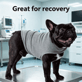 thumbnail image 4 of GASTROPOD 2026 New Dog Recovery Suit Calming Anxiety Jacket for Dogs Dog Costume Helps Relieve Anxiety and Stress Cat Costume for Recovery Daily Travel M Gray, 4 of 6
