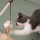 thumbnail image 4 of GOOHOCHY 4 juguetes para gatos con mango de madera, con forma de palo para coquetear, con colgante de plumas de peluche y cascabel para jugar en casa (estilos variados)., 4 of 8