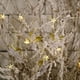 thumbnail image 4 of Decoración navideña, colgante de ángel transparente de Navidad, colgante de árbol de Navidad, colgante de ángel de Navidad, confiable y duradero, 4 of 11