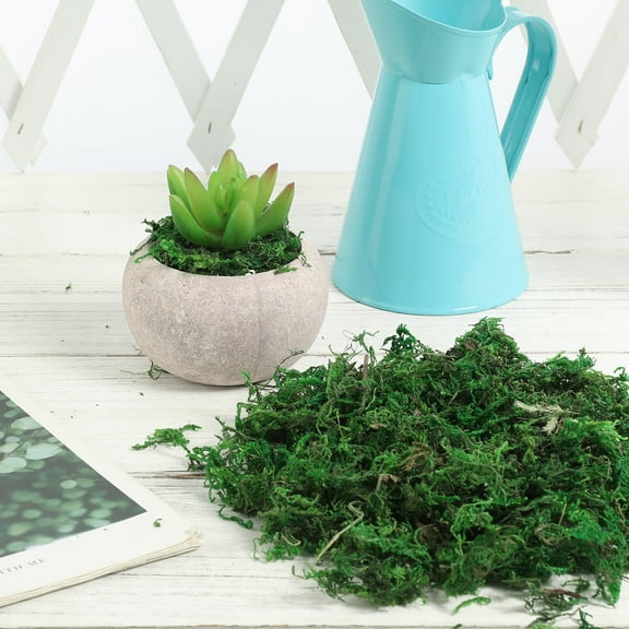 NUOLUX 25Pcs Decorative Fake Moss for Flower Craft and Terrarium Decorations