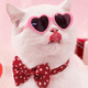 thumbnail image 4 of Anteojos para muñecas, gafas de sol, gafas para perros y gatos, gafas para vestir muñecas, minimuñecas, accesorios para disfraces, 4 of 5