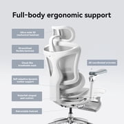 SIHOO C300 Pro Ergonomic Mesh Office Chair with Footrest, Big and Tall Home Desk Chair with Soft 6D Arms, Dynamic Lumbar Support, Gaming & Executive Computer Chairs - Gray