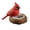 C, variant on Tiny Bird Nest Miniature Sculpture - Realistic Resin Craft with Faux Greenery, Compact Handmade Design, Cute Decor for Home Office Desk Bookshelf Fairy Garden Potted Bonsai Decoration, A