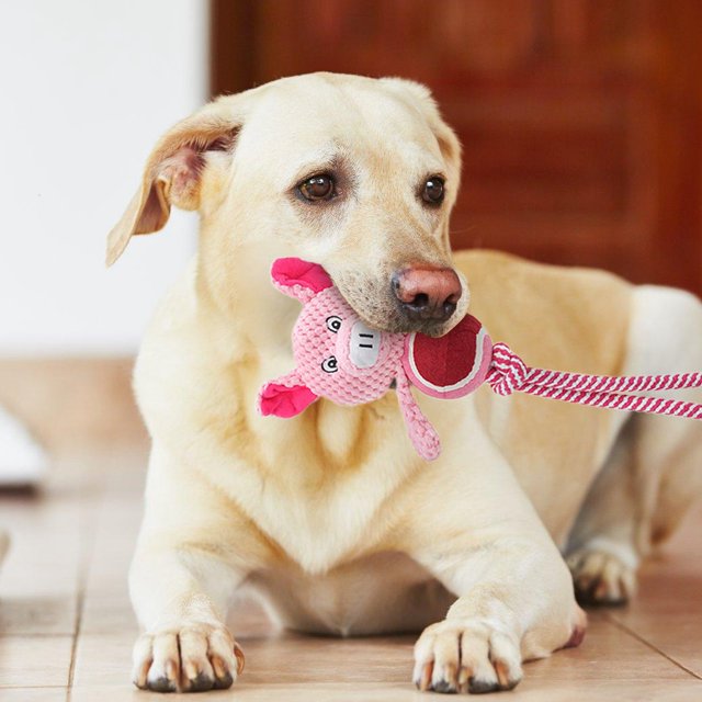 Puppy for Teething Rope Chihuahua for Dog Dog Smart for Extra Large Dogs Cat Non Squeaky Dog for Aggressive Chewers Hide And Seek Dog Training Clicker for Cat Gerbil And