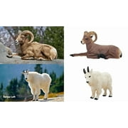 Toymany 14pcs Simulation Mini North American Animals Mod