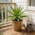 thumbnail image 6 of Artificial Fake Plants Greenery for Home Decor | Lifelike Plastic Foliage for Indoor and Outdoor Decoration | No Maintenance Artificial Shrubs for Living Room Office Shelf Garden | Set of 1, 6 of 6