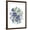 Brown Frame, variant on Art.com Loudon Florals I Art Print by Jane W. Loudon, 12" x 16"